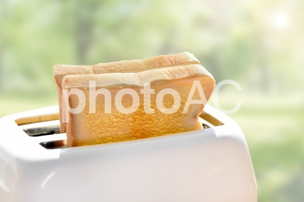 トースターでトーストされた2枚の食パン3 psd トースターでトーストされた2枚の食パン3 psdの写真
