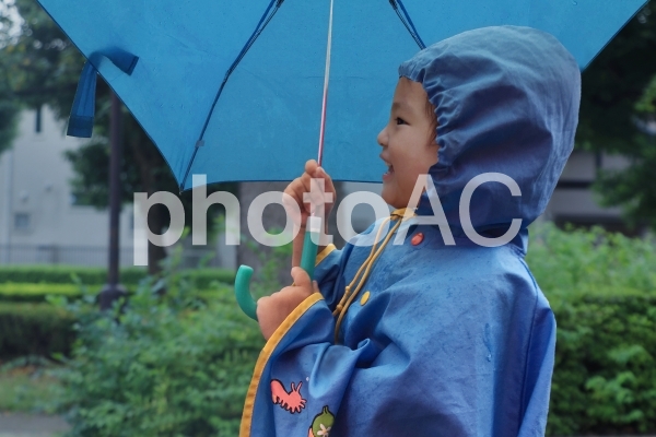 梅雨の雨降り 梅雨の雨降りの写真