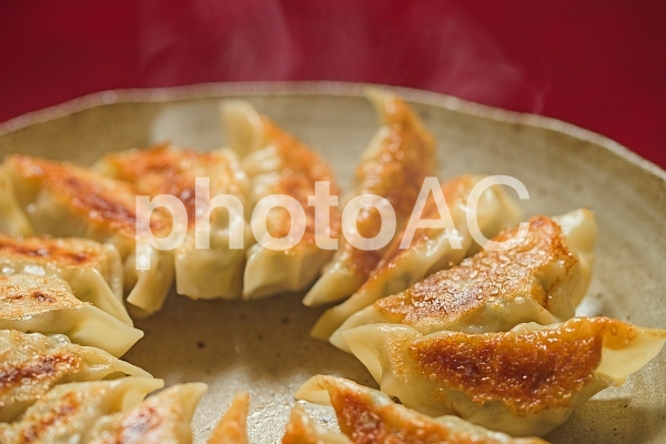 焼きぎょうざ 焼きぎょうざの写真