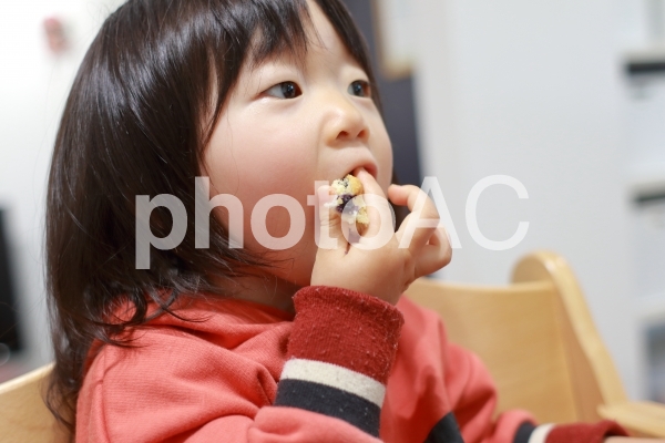 パンぱくぱく パンぱくぱくの写真