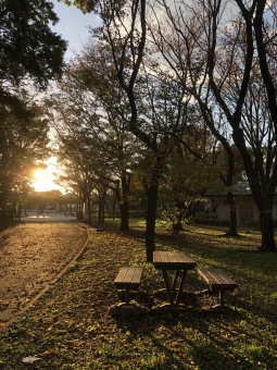 あなたのためのイラスト 元の刹那 の 風景 イラスト