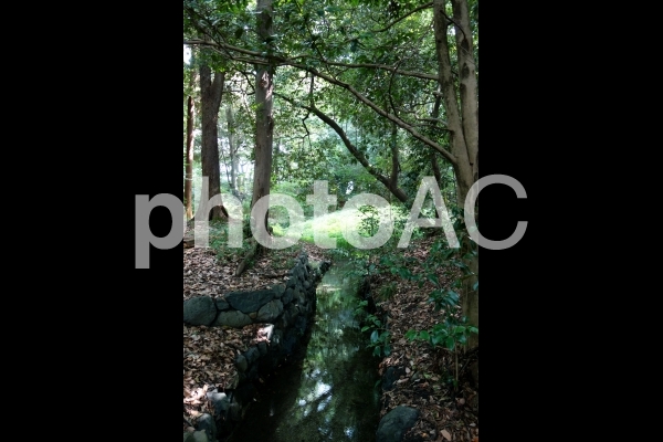 日本 京都 緑の中の小さな滝 日本 京都 緑の中の小さな滝の写真