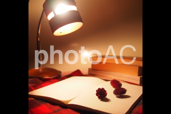 読書2 読書2の写真