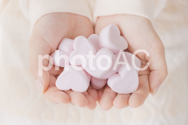 ハートいっぱい、どうぞ ハートいっぱい、どうぞの写真