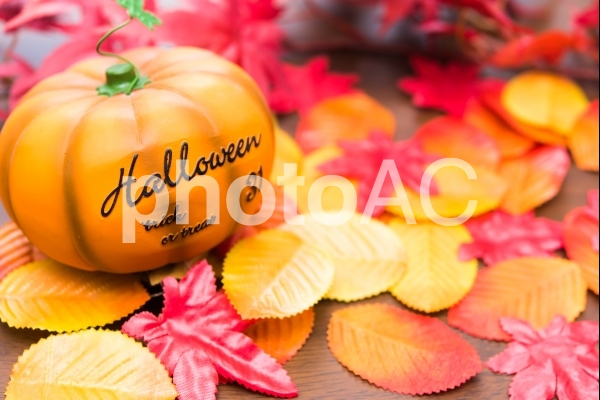 ハロウィーン ハロウィーンの写真