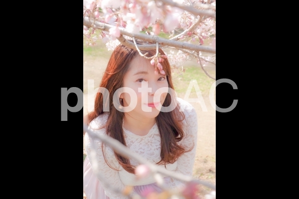 桜と女性 桜と女性の写真