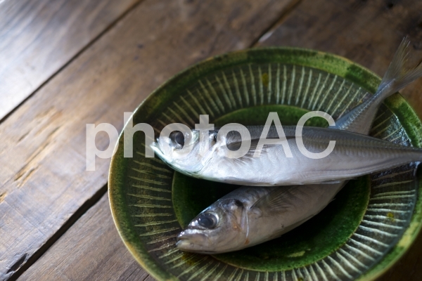 魚のアジ 魚のアジの写真