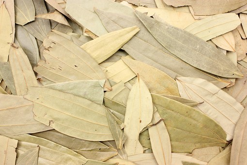 ãac åç ã­ã¼ãªã¨ãã®ç»åæ¤ç´¢çµæ