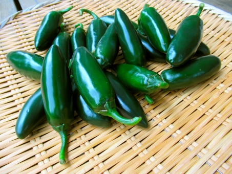 「ac 写真　ハラペーニョ」の画像検索結果