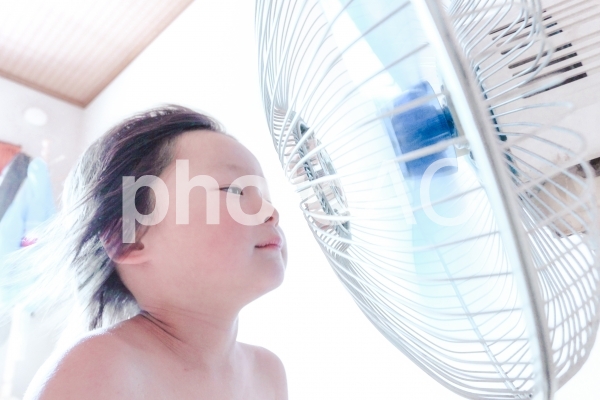 暑い夏 暑い夏の写真