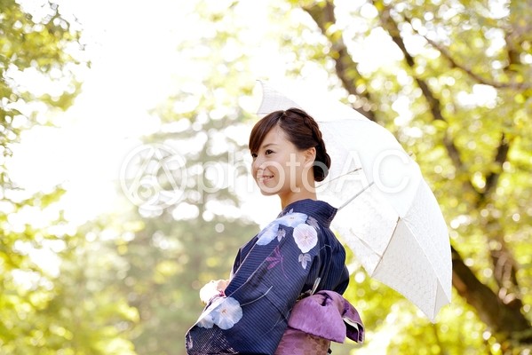 浴衣美人374 浴衣美人374の写真