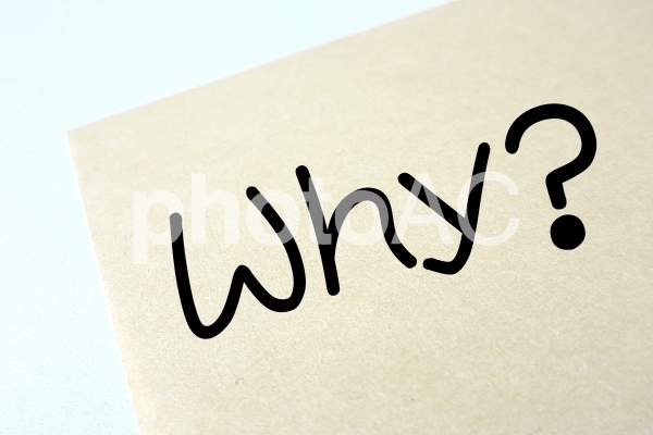 Why? Why?の写真