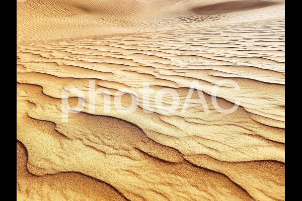 砂漠⑪ 砂漠⑪の写真