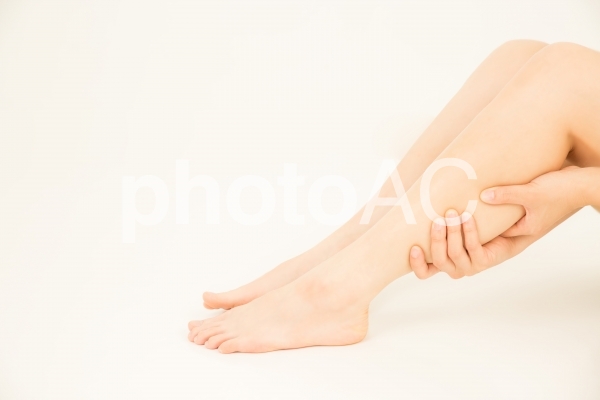 美しい脚 美しい脚 の写真