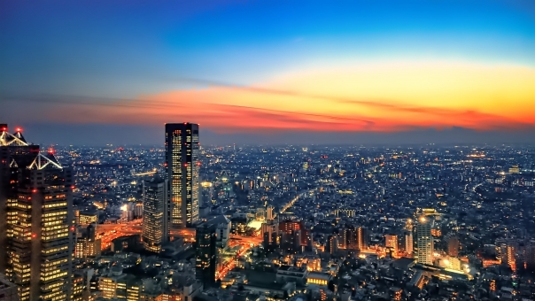 東京都庁展望台からの眺望の写真