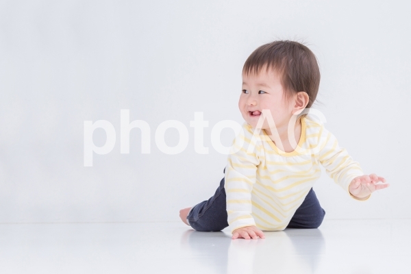 ハイハイする赤ちゃん ハイハイする赤ちゃんの写真