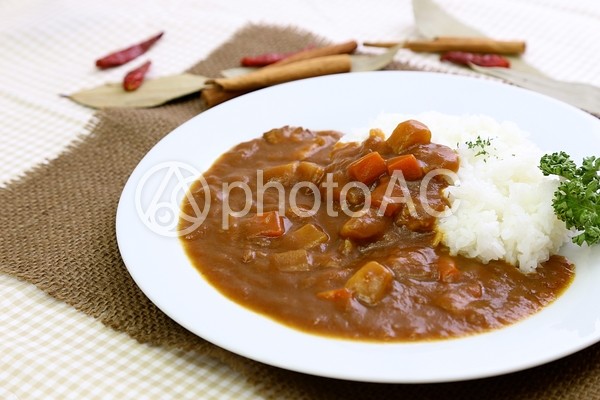 カレーライスとスパイス6 カレーライスとスパイス6の写真