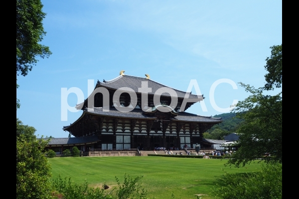 東大寺 東大寺の写真
