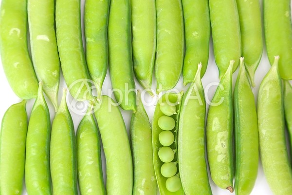 えんどう豆5 えんどう豆5の写真