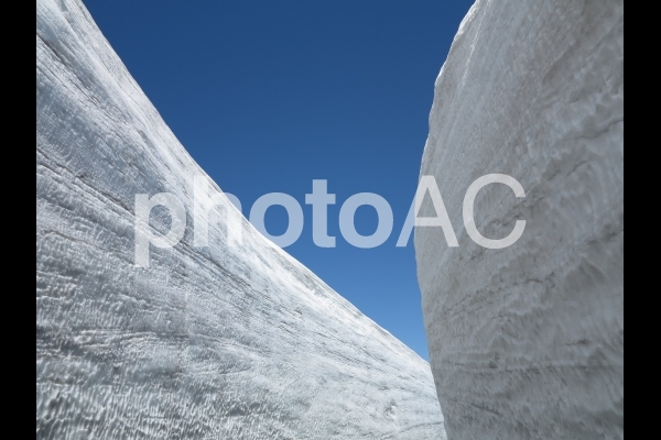 立山 雪の大谷 立山 雪の大谷の写真