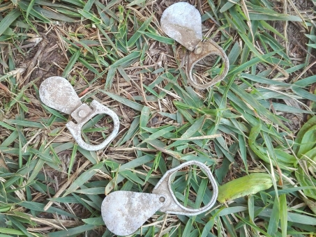 ãac åçããã«ã¿ããã®ç»åæ¤ç´¢çµæ