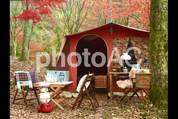 紅葉キャンプ 紅葉キャンプの写真