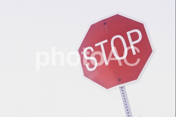STOP STOPの写真