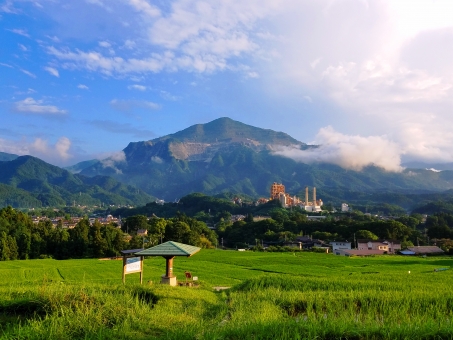 寺坂棚田から見た武甲山(埼玉県秩父郡横瀬町・寺坂棚田)beautiful rice terraces in Terasaka tanada and the mountain on the back is Mt. Buko. 寺坂棚田から見た武甲山(埼玉県秩父郡横瀬町・寺坂棚田)beautiful rice terraces in Terasaka tanada and the mountain on the back is Mt. Buko.の写真