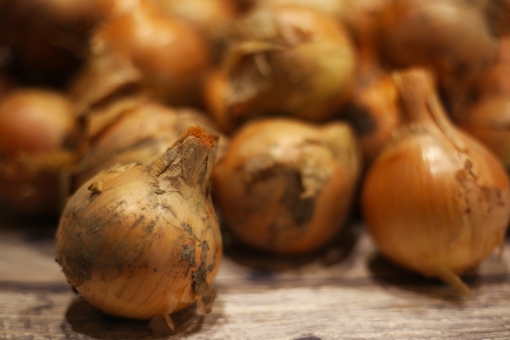 ãac åçãçã­ãã®ç®ãã®ç»åæ¤ç´¢çµæ