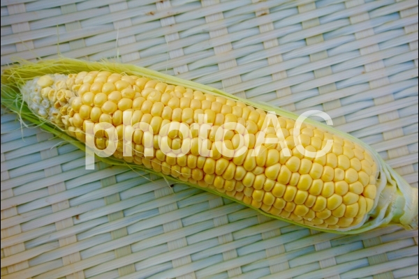 とうもろこし とうもろこしの写真