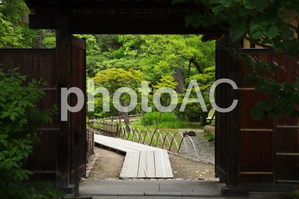 夏の日本庭園 夏の日本庭園の写真
