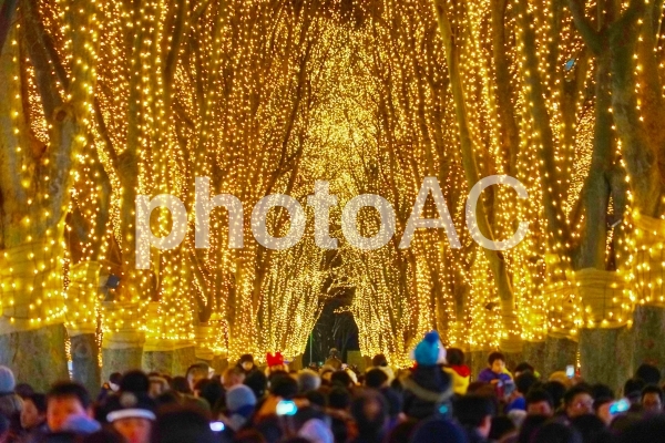 仙台光のページェントイメージ5 仙台光のページェントイメージ5の写真