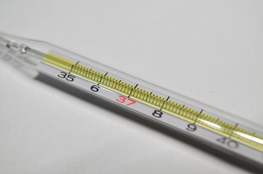 ãac åçãæ°´éãã®ç»åæ¤ç´¢çµæ